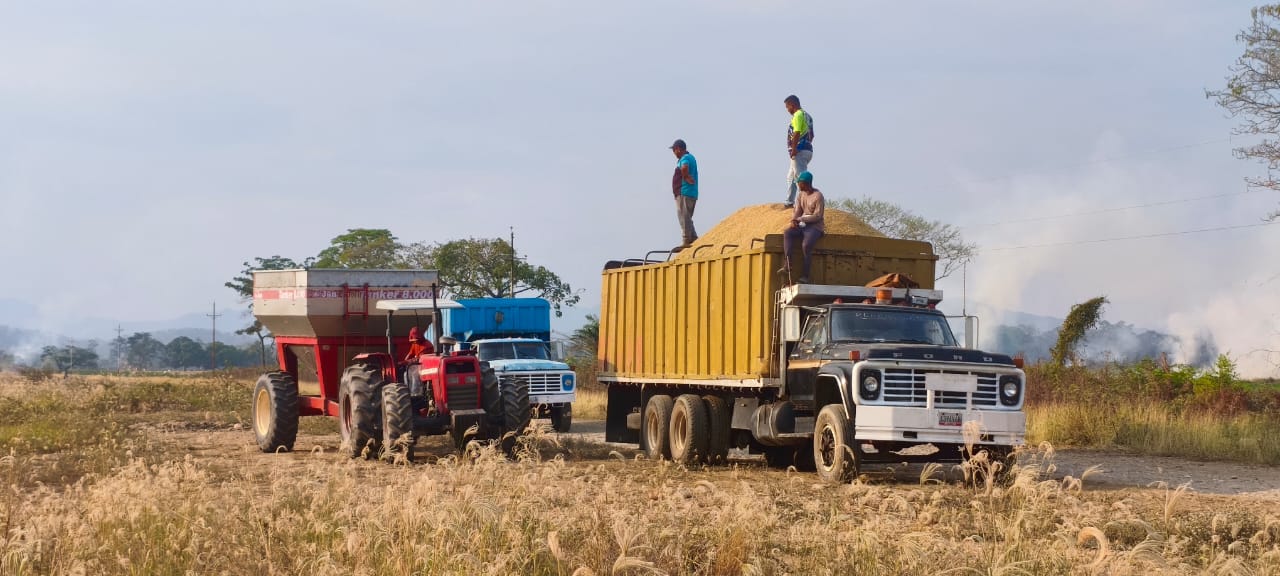 Capacidad operativa de cosecha Terranova